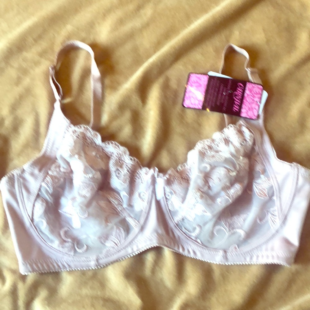 Carnival 42D Lace Underwire Bra